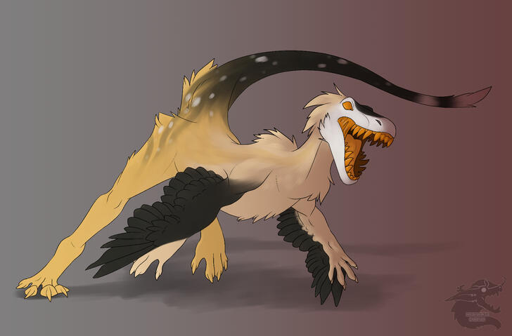 Raptor
